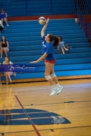Volleyball Scrimmage (BR3_0192)