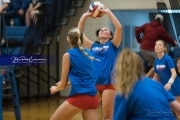 Volleyball Scrimmage (BR3_0214)