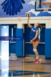 Volleyball Scrimmage (BR3_0246)
