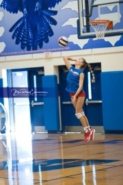 Volleyball Scrimmage (BR3_0255)