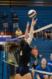 Volleyball Scrimmage (BR3_0357)