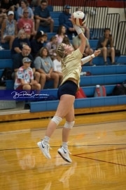Volleyball Scrimmage (BR3_0381)