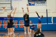 Volleyball Scrimmage (BR3_0405)