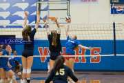 Volleyball Scrimmage (BR3_0434)