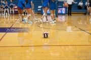 Volleyball Scrimmage (BR3_0566)