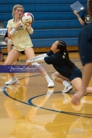Volleyball Scrimmage (BR3_0627)