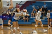 Volleyball Scrimmage (BR3_0806)