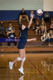 Volleyball Scrimmage (BR3_0850)