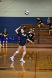 Volleyball Scrimmage (BR3_0863)