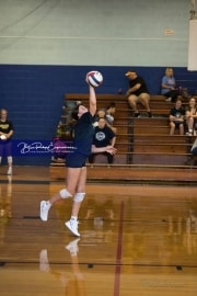 Volleyball Scrimmage (BR3_0867)