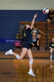Volleyball Scrimmage (BR3_0874)