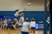 Volleyball Scrimmage (BR3_0905)