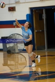 Volleyball Scrimmage (BR3_0928)