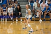 Volleyball Scrimmage (BR3_1069)