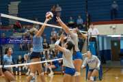 Volleyball Scrimmage (BR3_1088)