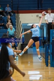 Volleyball Scrimmage (BR3_1146)
