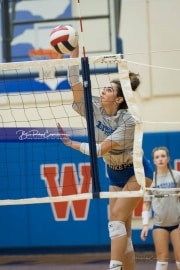Volleyball Scrimmage (BR3_1278)