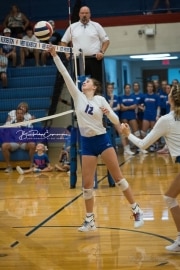 JV Volleyball: Polk at West Henderson (BR3_5157)