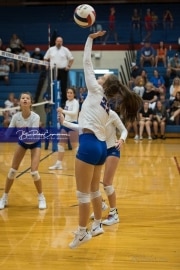 JV Volleyball: Polk at West Henderson (BR3_5168)