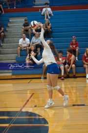 JV Volleyball: Polk at West Henderson (BR3_5189)