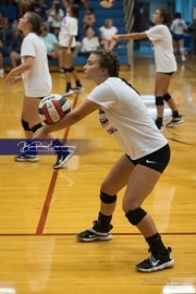 JV Volleyball: Polk at West Henderson (BR3_5219)