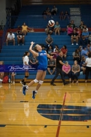 JV Volleyball: Polk at West Henderson (BR3_5295)