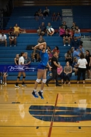 JV Volleyball: Polk at West Henderson (BR3_5298)
