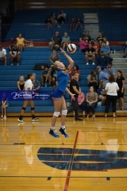 JV Volleyball: Polk at West Henderson (BR3_5299)
