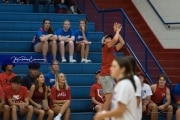 Volleyball: Polk at West Henderson (BR3_5336)
