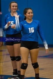 Volleyball: Polk at West Henderson (BR3_5392)