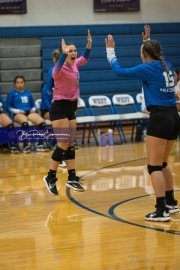Volleyball: Polk at West Henderson (BR3_5487)