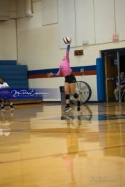 Volleyball: Polk at West Henderson (BR3_5497)