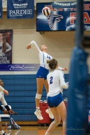 Volleyball: Polk at West Henderson (BR3_5539)
