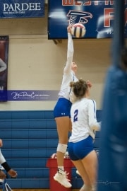 Volleyball: Polk at West Henderson (BR3_5541)