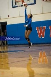 Volleyball: Polk at West Henderson (BR3_5564)