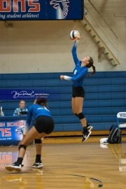 Volleyball: Polk at West Henderson (BR3_5580)