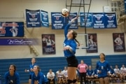 Volleyball: Polk at West Henderson (BR3_5588)