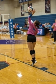 Volleyball: Polk at West Henderson (BR3_5655)