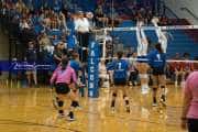Volleyball: Polk at West Henderson (BR3_5673)