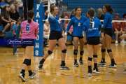 Volleyball: Polk at West Henderson (BR3_5678)