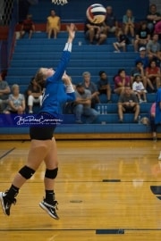 Volleyball: Polk at West Henderson (BR3_5699)