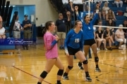 Volleyball: Polk at West Henderson (BR3_5713)