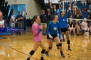 Volleyball: Polk at West Henderson (BR3_5714)