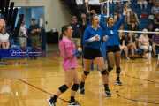 Volleyball: Polk at West Henderson (BR3_5715)