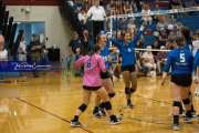 Volleyball: Polk at West Henderson (BR3_5731)