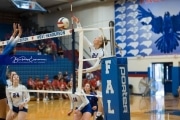 Volleyball: Polk at West Henderson (BR3_5821)
