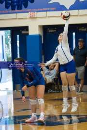 Volleyball: Polk at West Henderson (BR3_5833)