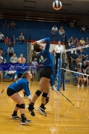 Volleyball: Polk at West Henderson (BR3_5846)