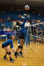 Volleyball: Polk at West Henderson (BR3_5847)