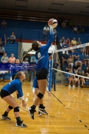 Volleyball: Polk at West Henderson (BR3_5848)